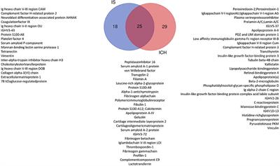Proteomics-Based Approach to Identify Novel Blood Biomarker Candidates for Differentiating Intracerebral Hemorrhage From Ischemic Stroke—A Pilot Study